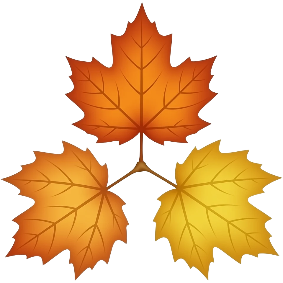 three maple leaves in shades of orange and yellow, arranged in a triangular formation against a white background. The leaves have prominent veins and a glossy finish, with their stems meeting at a central point. emoji