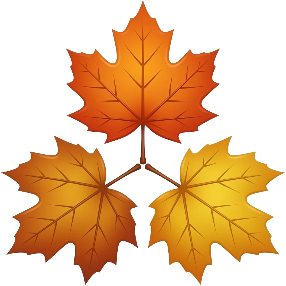 three maple leaves in shades of orange and yellow, arranged in a triangular formation against a white background. The leaves have prominent veins and a glossy finish, with their stems meeting at a central point. emoji