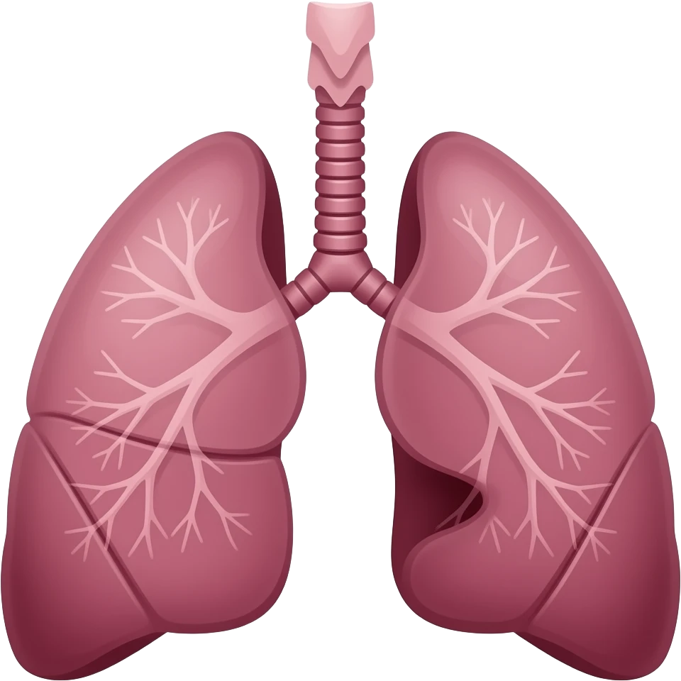 Lungs of a girl who smoke cigarettes daily atleast 10 emoji