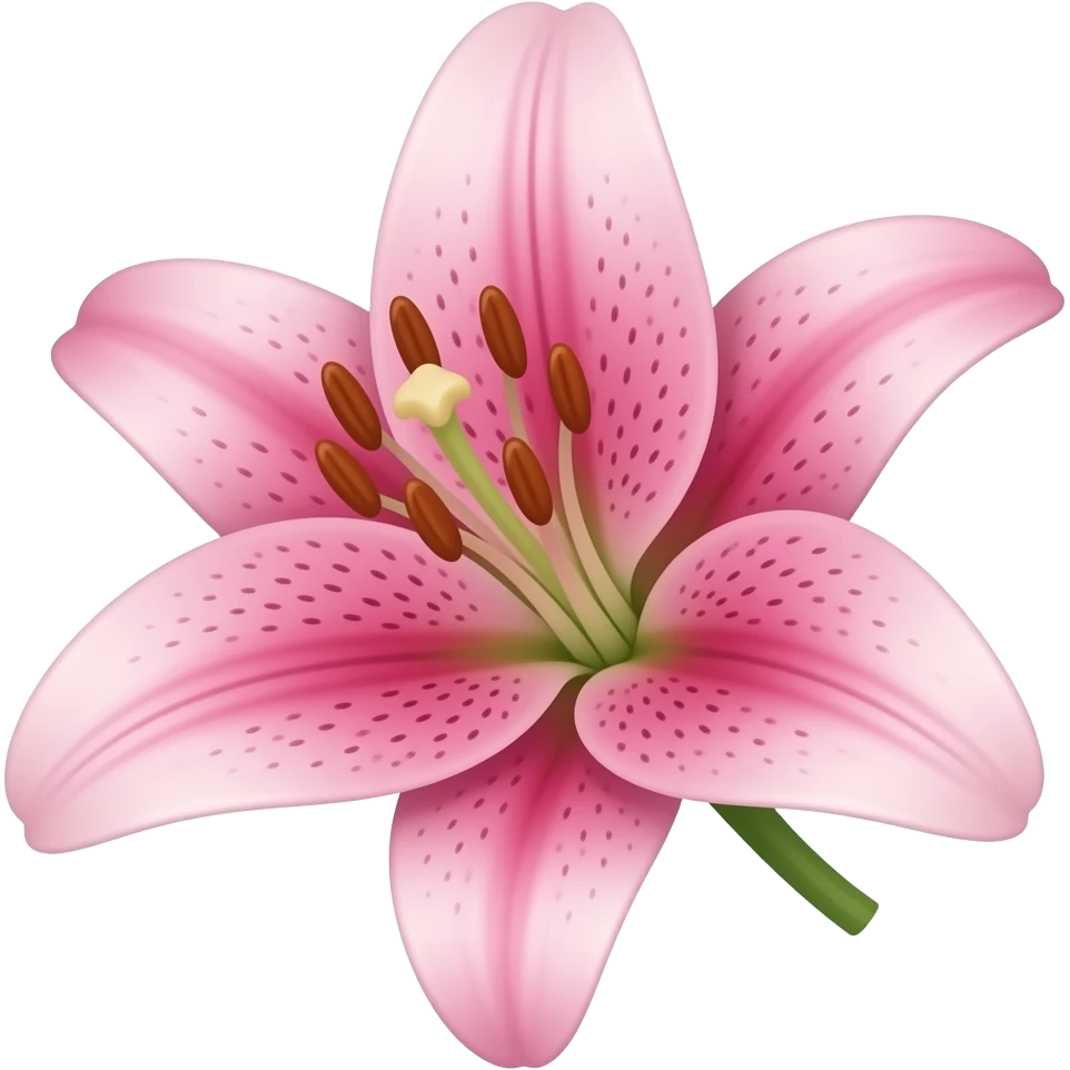 Pink lily flower emoji