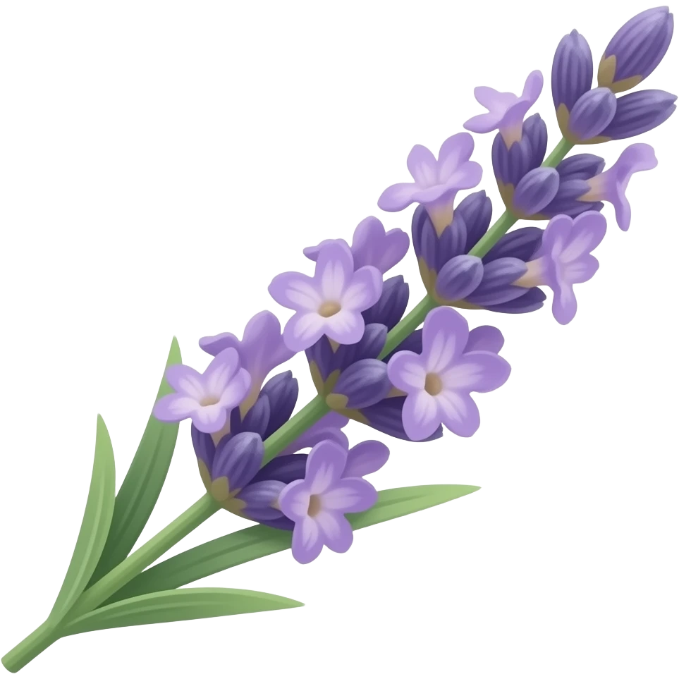 Lavender emoji