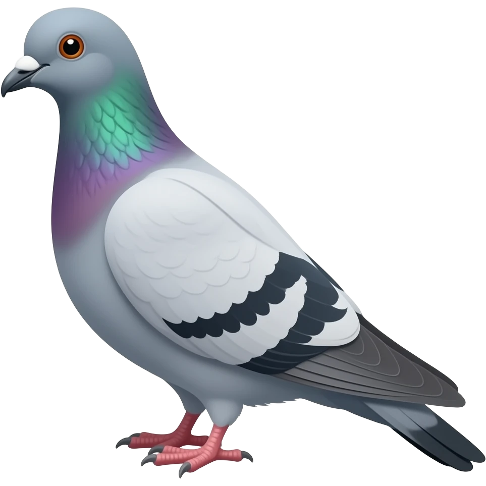pigeon emoji