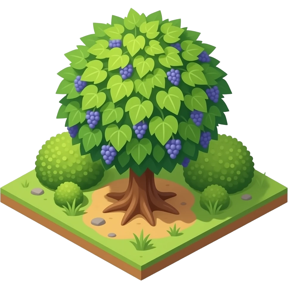 The grapevine bush grows on the ground top view isometric no background ...