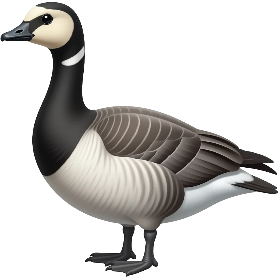 branta bernicla emoji