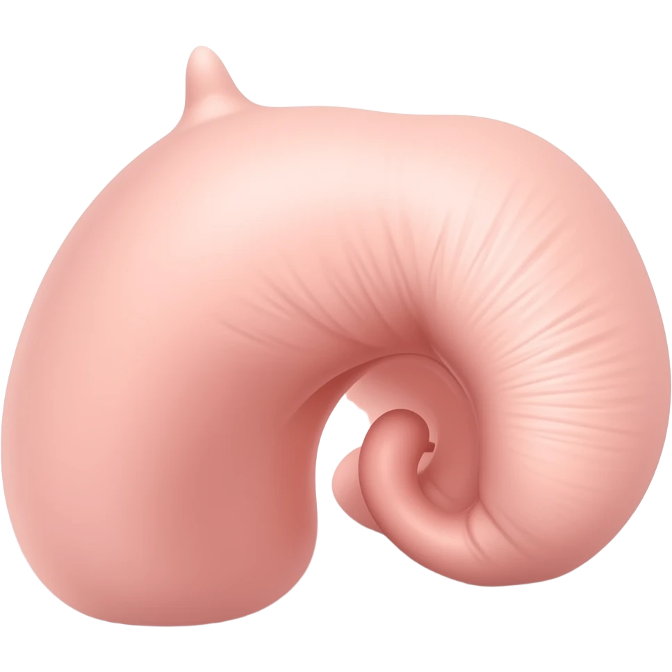 Penis emoji