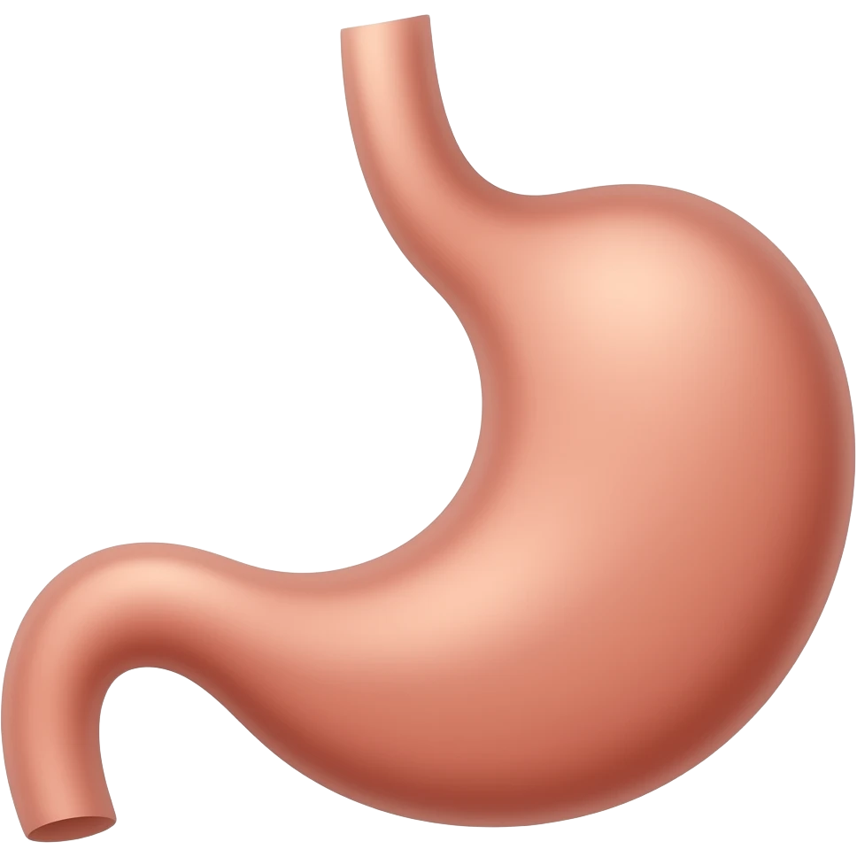 stomach emoji