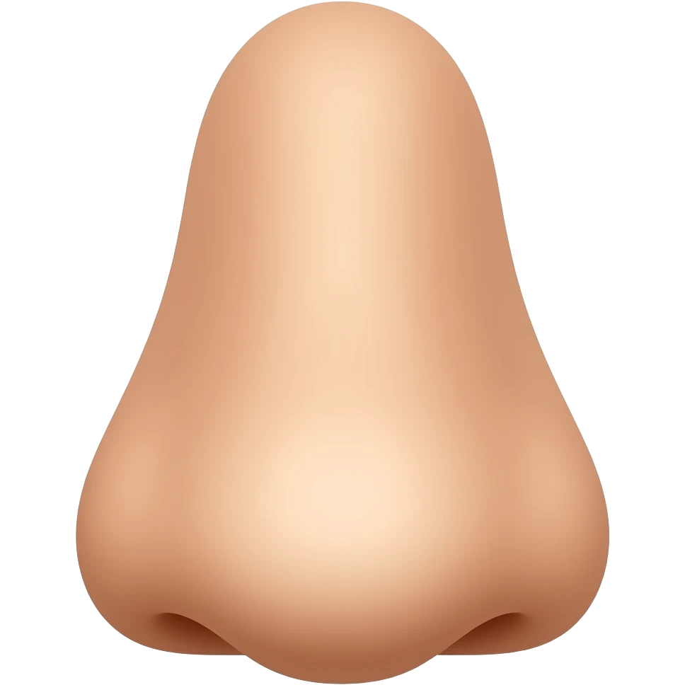 👃 emoji