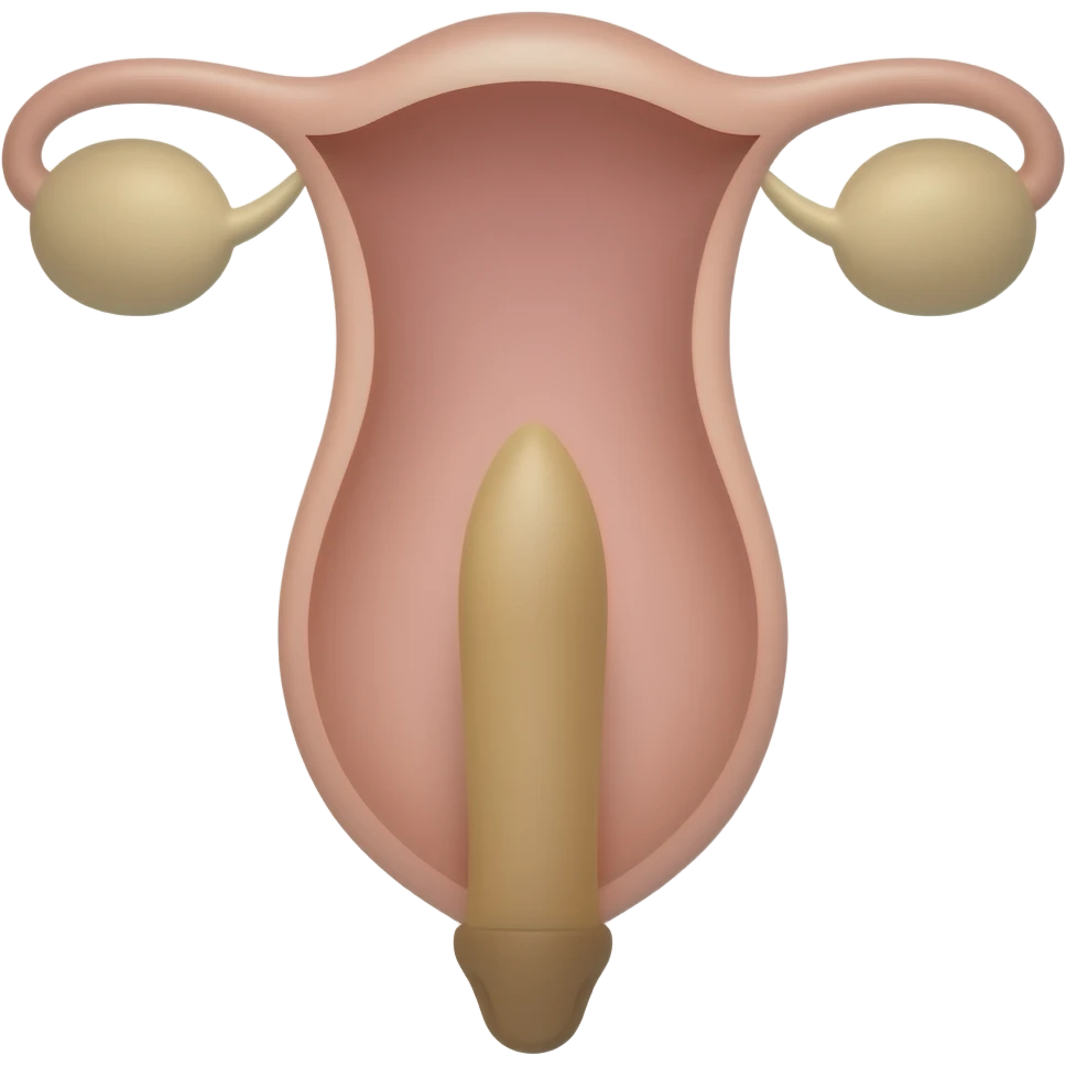 Penis in a vagina emoji