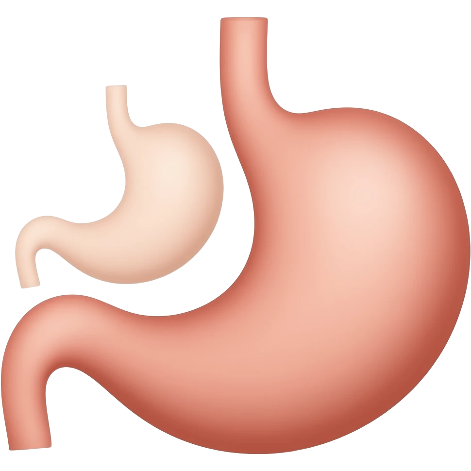 Two stomachs emoji