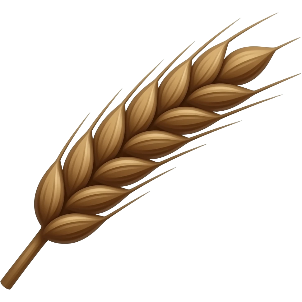 Dark brown realistic wheat 🌾🌾🌾 emoji
