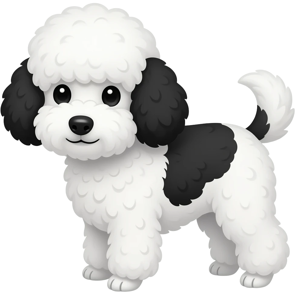 small poodle white, blakc ears, black back and black poof emoji
