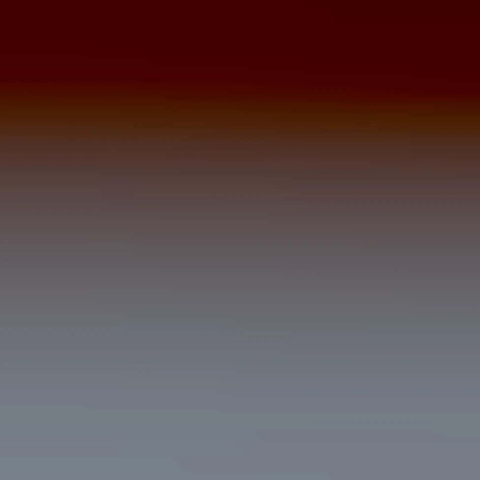 the generated image is accepted and preserve all its details, only ...