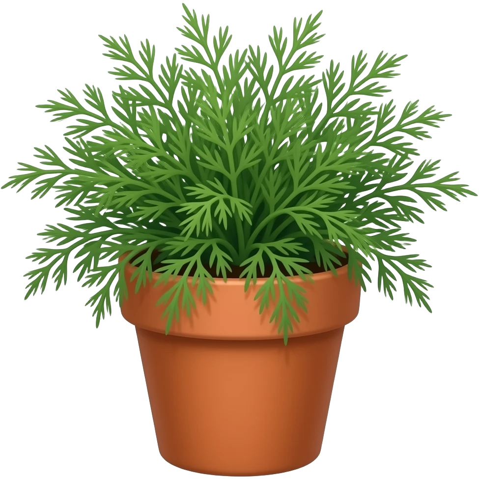 Dill in terracotta pot emoji