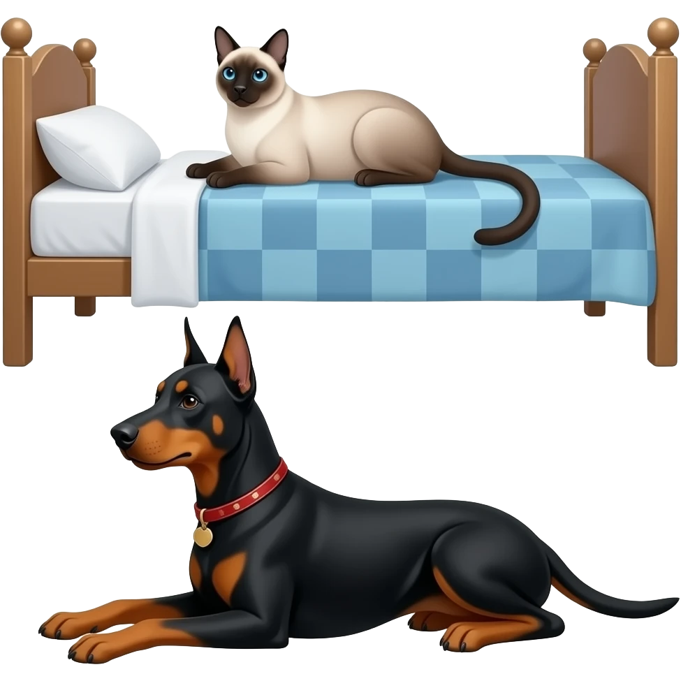The Siamese cat is on the bed, and the doberman dog is below on the floor. emoji