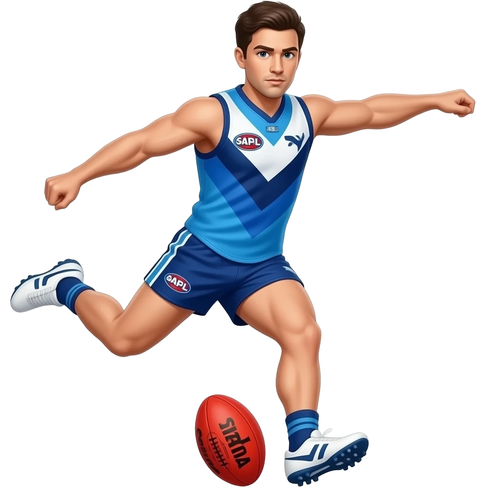 Geelong afl footy emoji