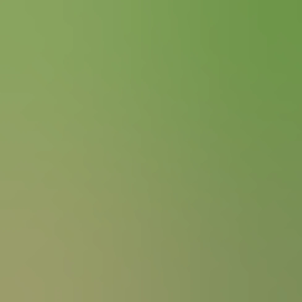 wide rectangular grocery store green cardboard box of heathy granola ...