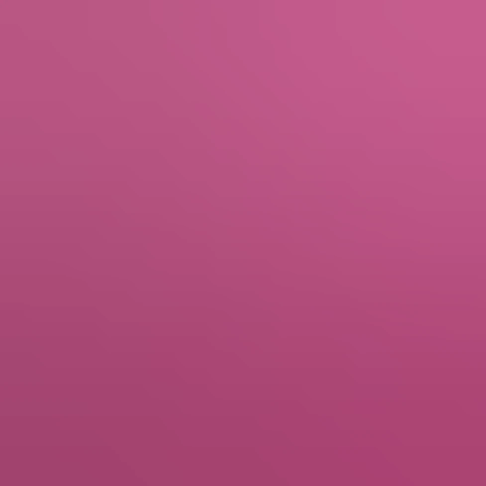 Realistic Baronesse rose by Tantau, vibrant fuchsia color, dense ...