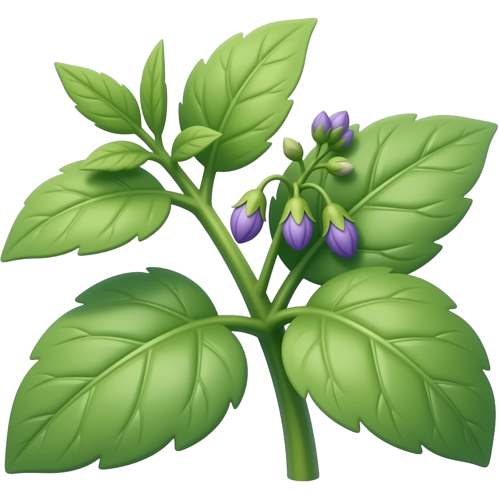 Nightshade emoji