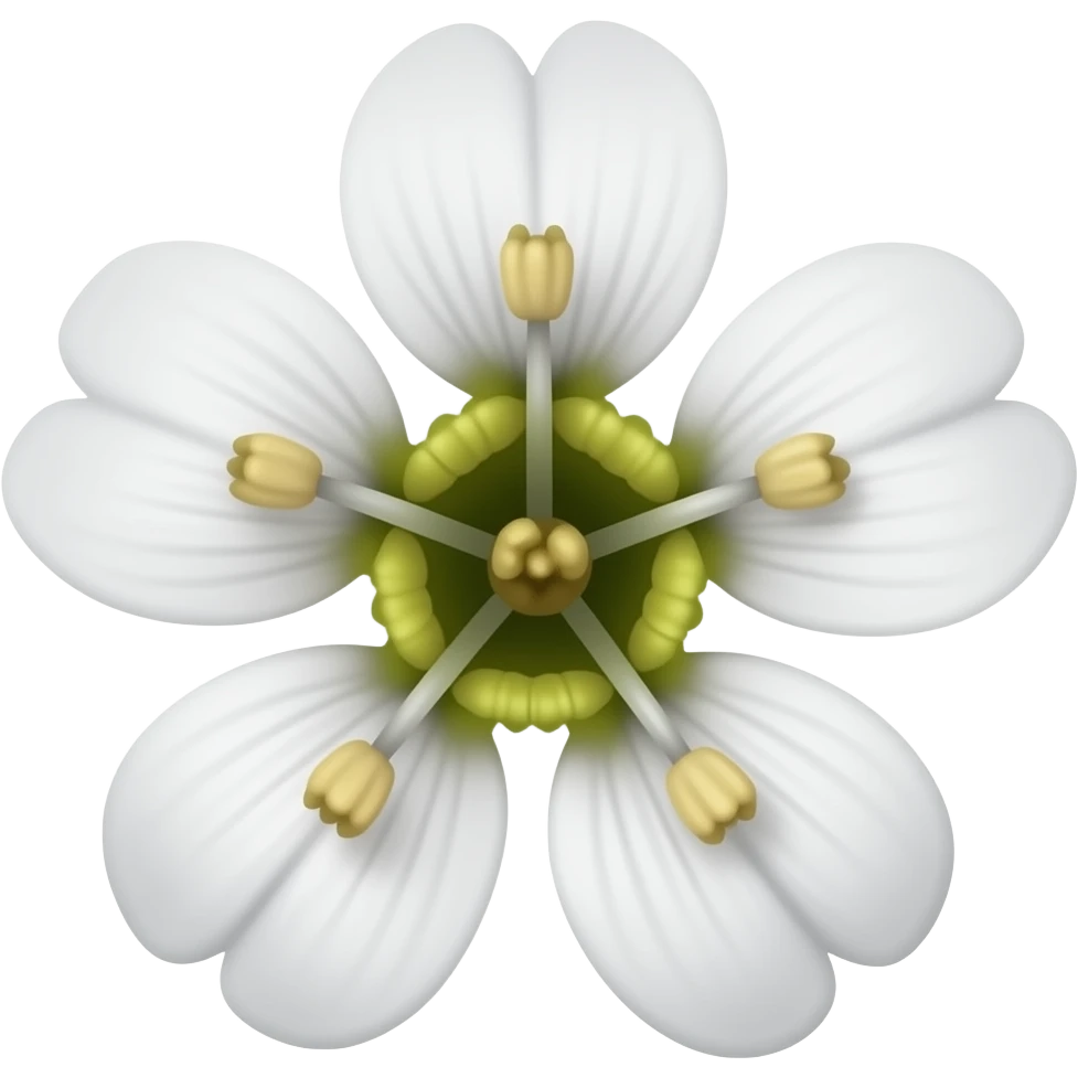 нарисуй цветы asperugo procumbens emoji