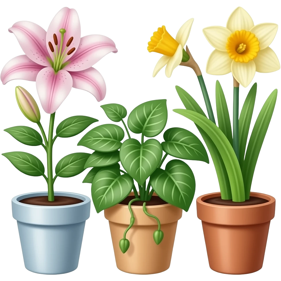 百合花、绿萝、水仙花，三盆花同一个画面 emoji