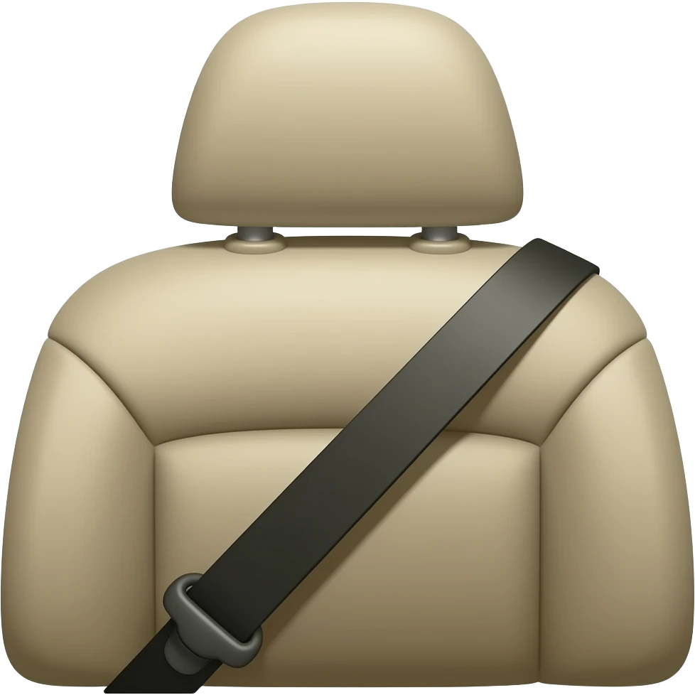 seatbelt emoji