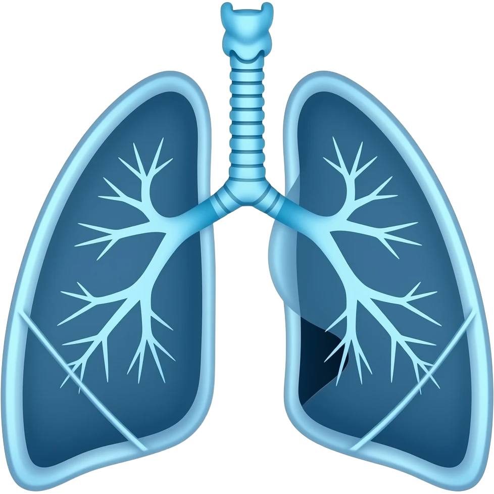 CT scan of the lungs emoji