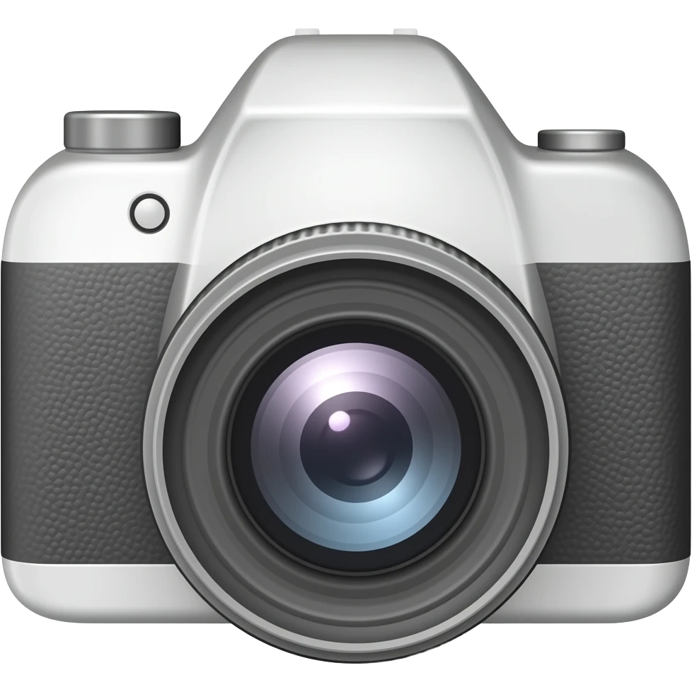 Camera down emoji