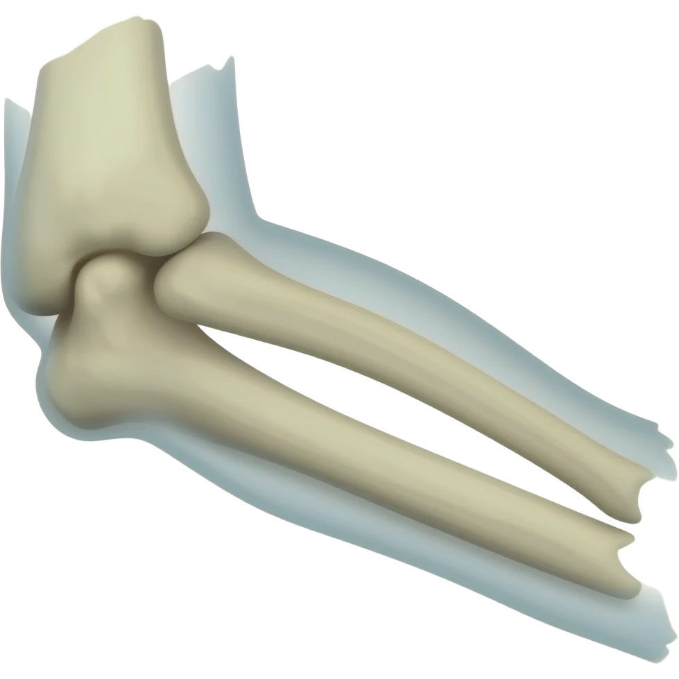 bone forearm emoji