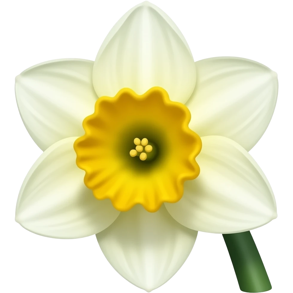 ایموجی گل نرگس emoji