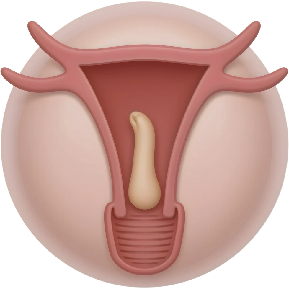 Penis in a vagina emoji