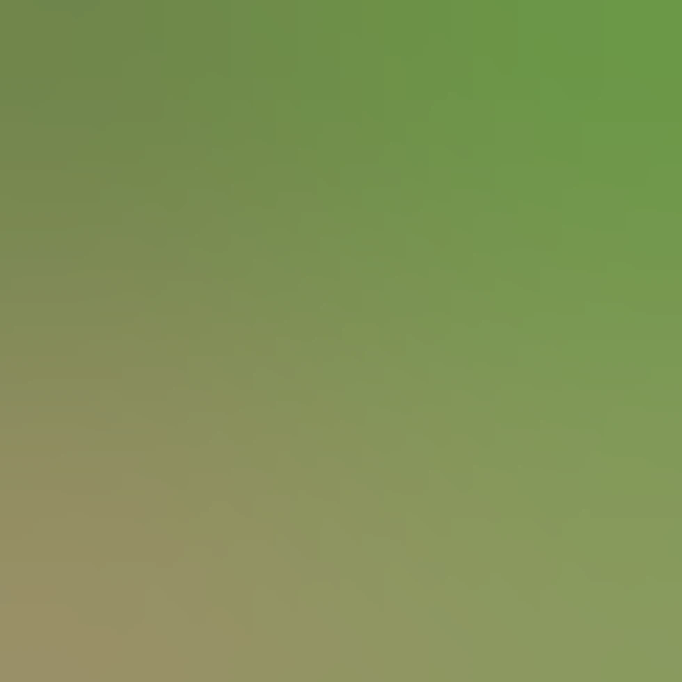 rectangle grocery store green cardboard box of heathy granola bars with ...