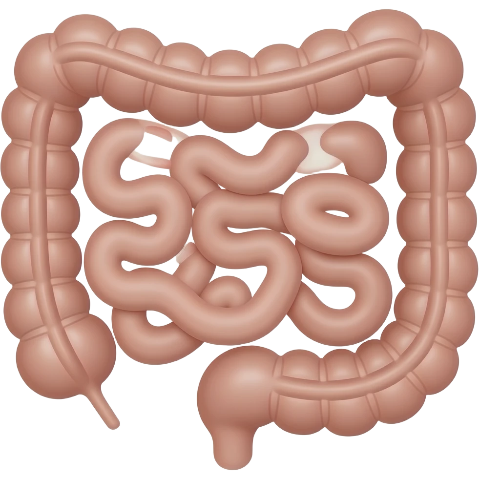 Gastrointestinal organs emoji