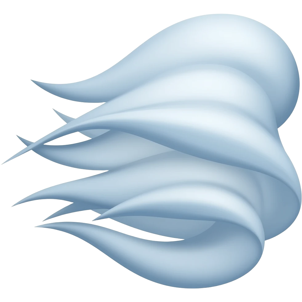 💨 emoji