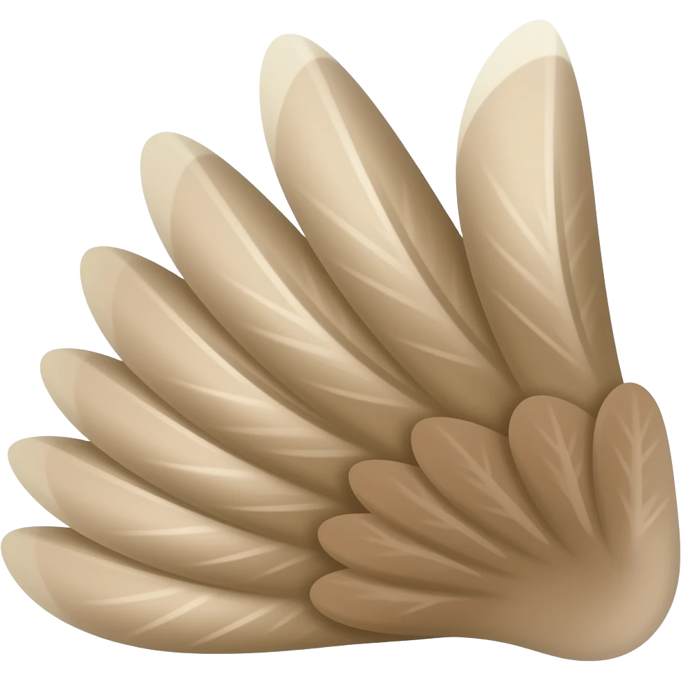 Right side wing emoji