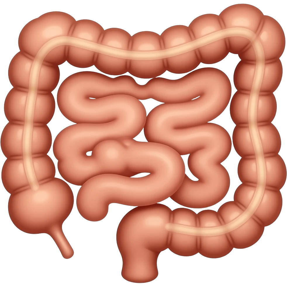 intestinos emoji