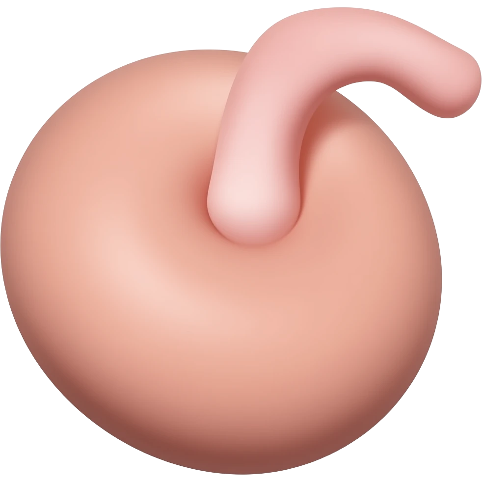 a penis emoji