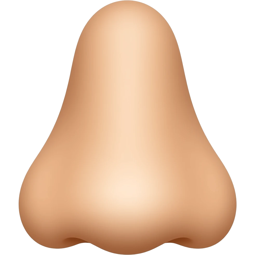 👃 emoji