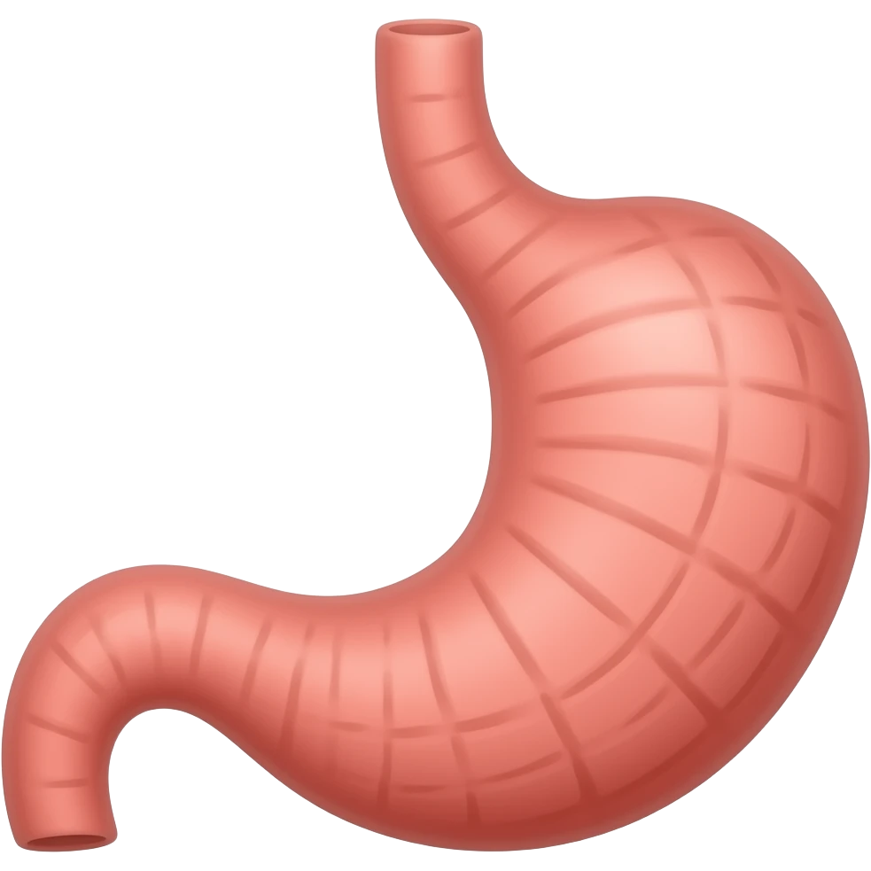 Stomach emoji