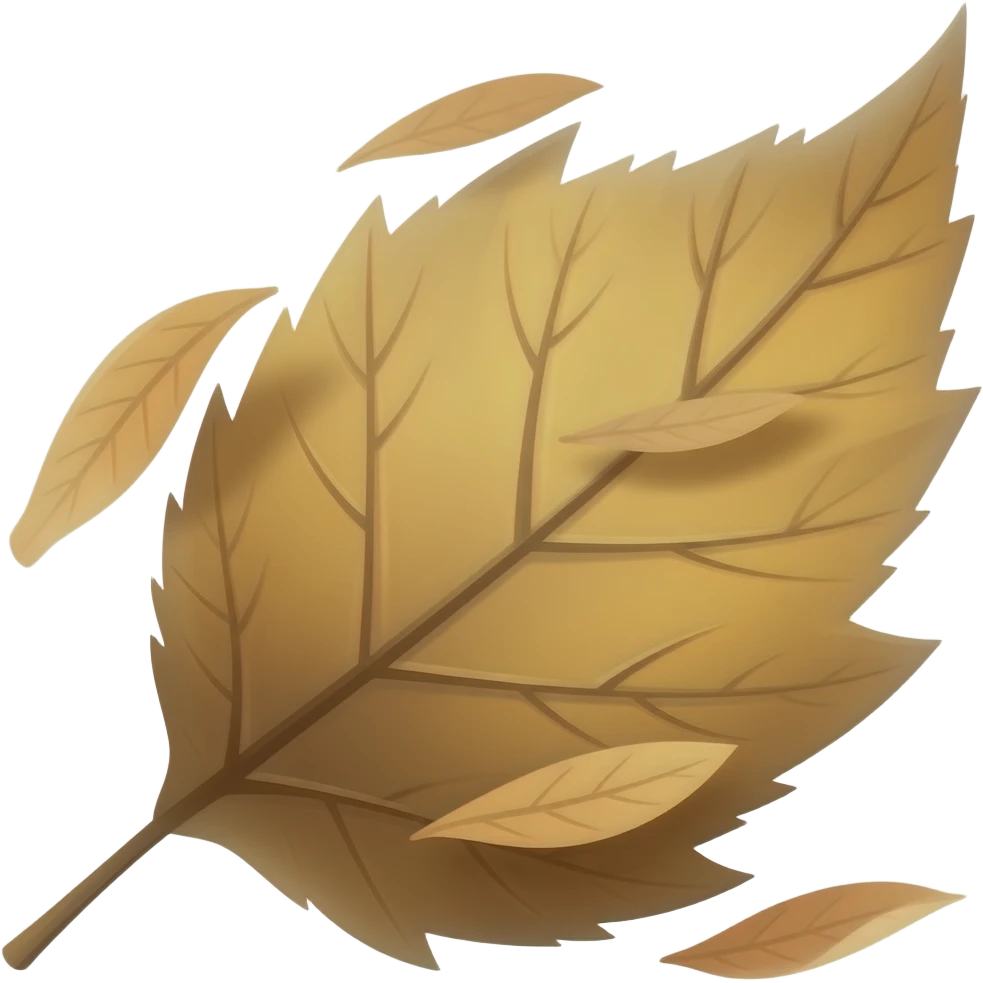gust of wind emoji