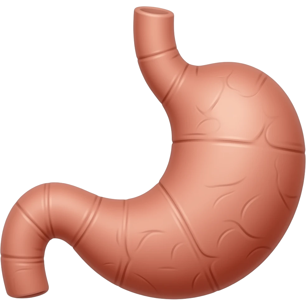stomach emoji