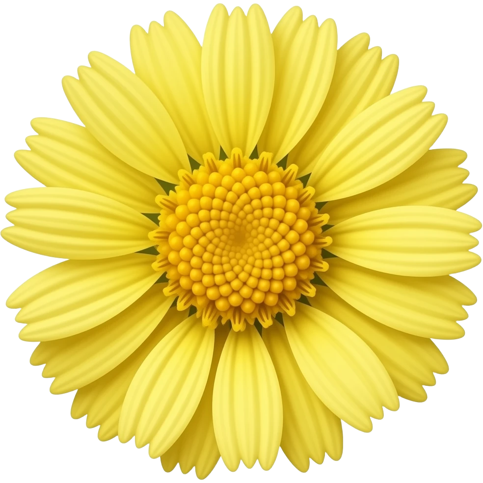 нарисуй цветок senecio jacobaea emoji