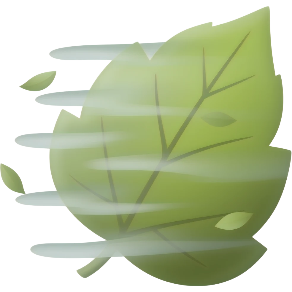 wind emoji