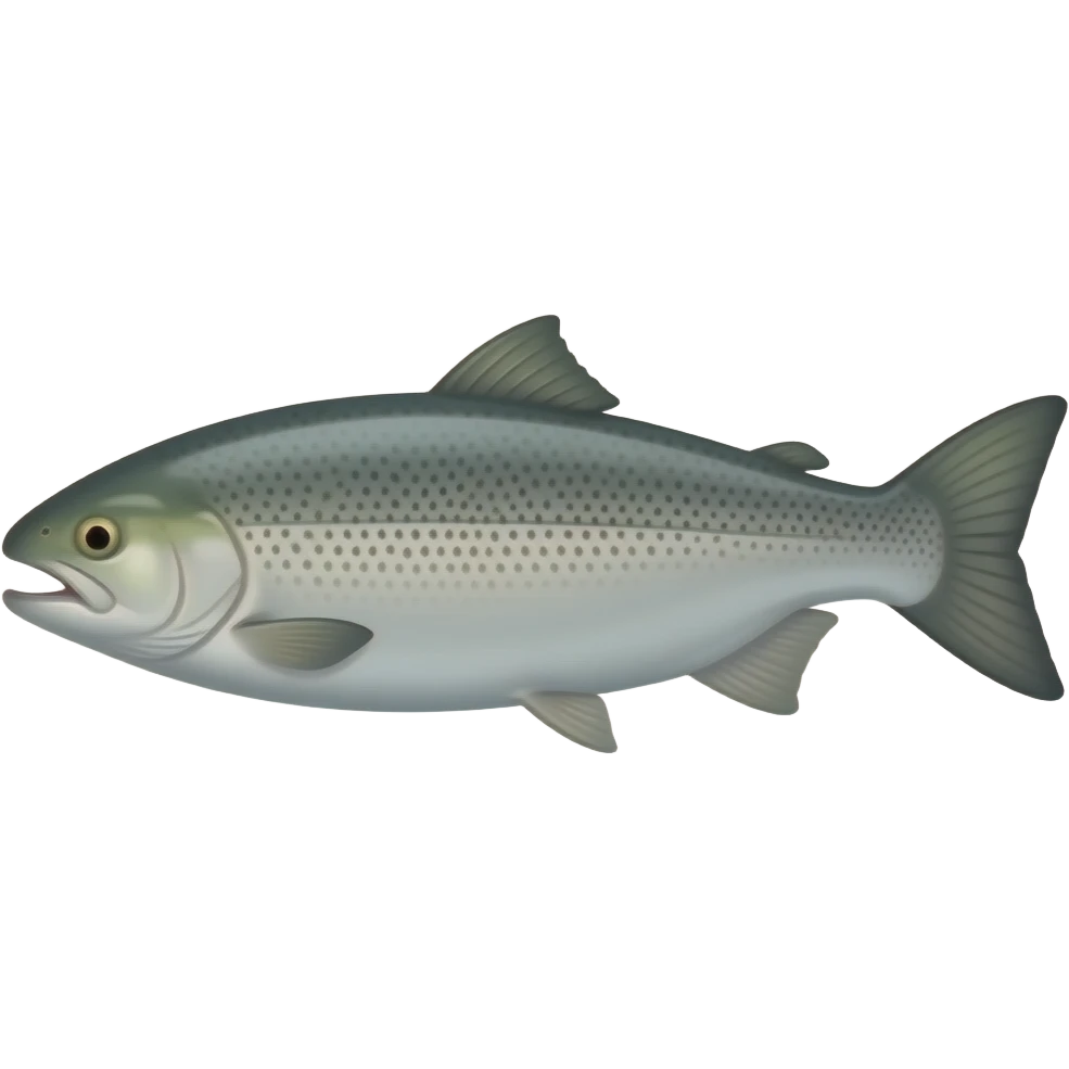 SALMON emoji