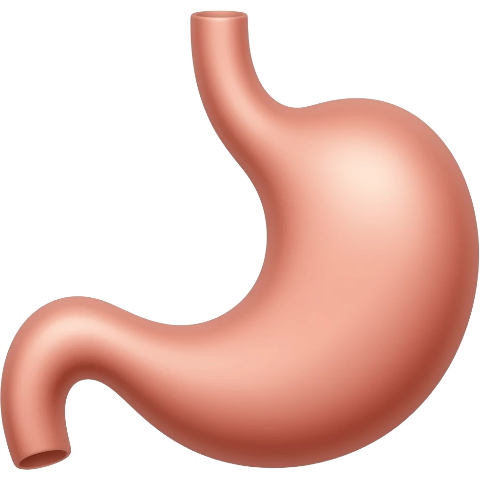 stomach emoji
