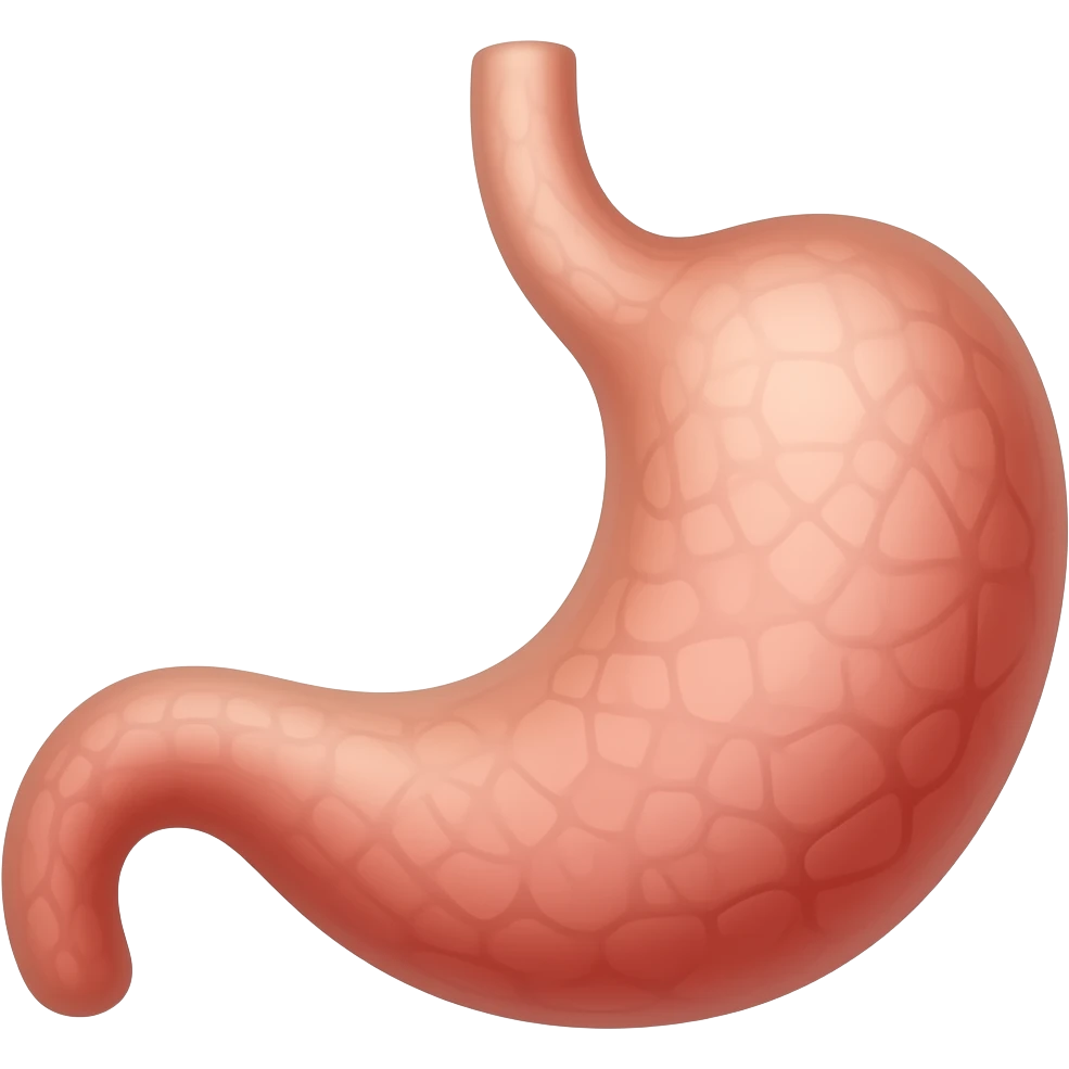 stomach emoji emoji