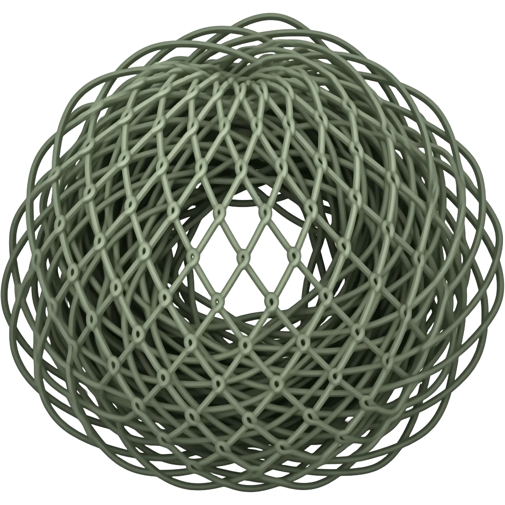 fishing net emoji