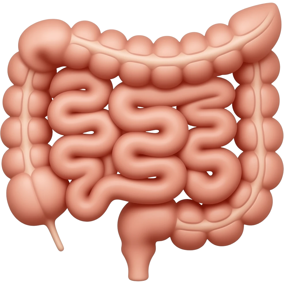irritable bowel syndrome intestine emoji