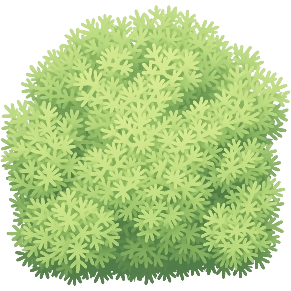 Lichen emoji