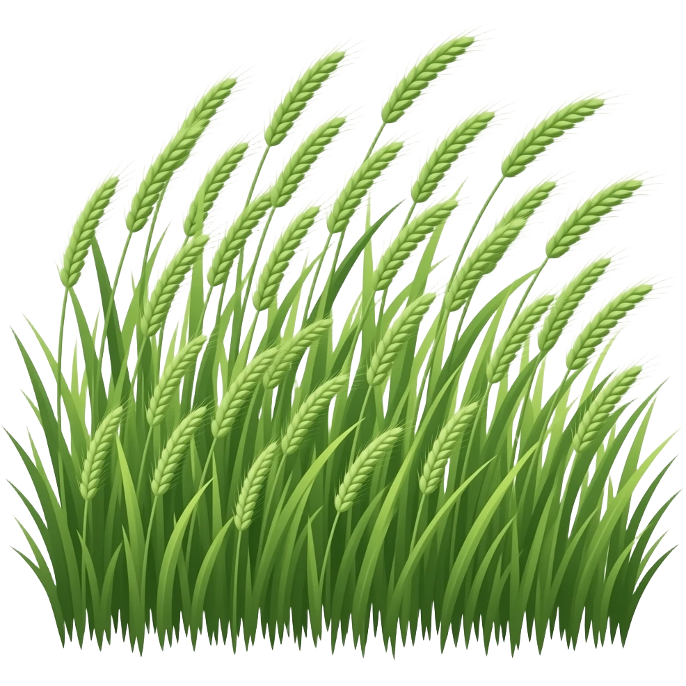 Wind emoji