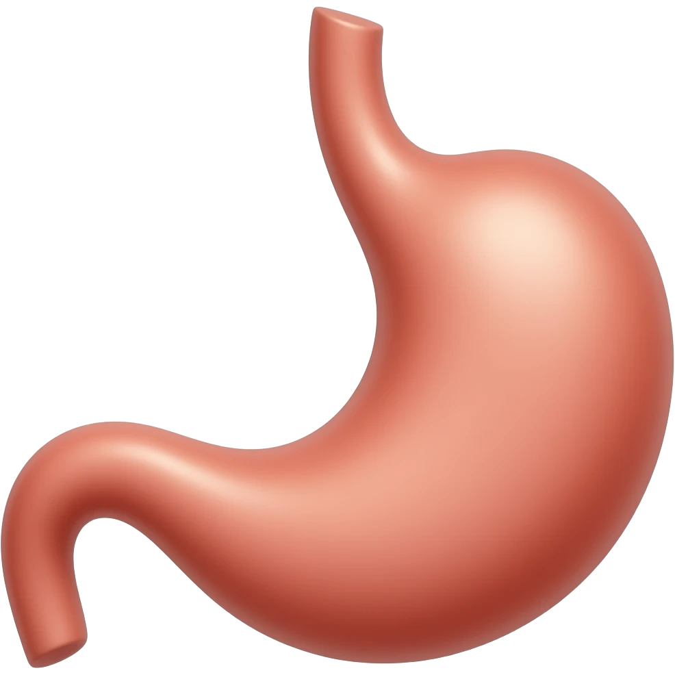 Stomach emoji